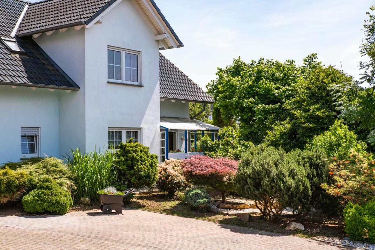 Das Blaue Haus Daufenbach 外观 照片
